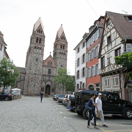 Gite Les Tourterelles Selestat - 30Min Europapark 외부 사진