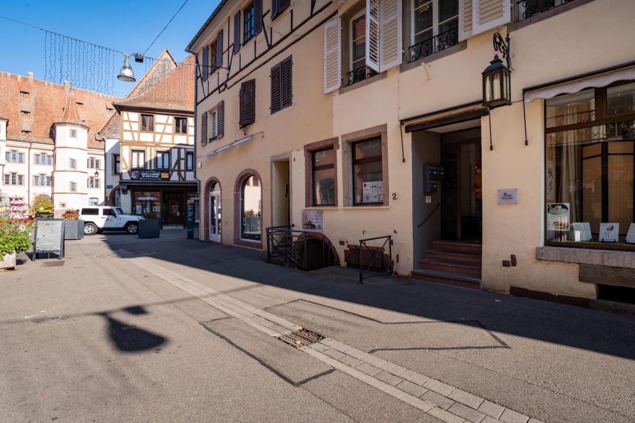 Gite Les Tourterelles Selestat - 30Min Europapark 외부 사진